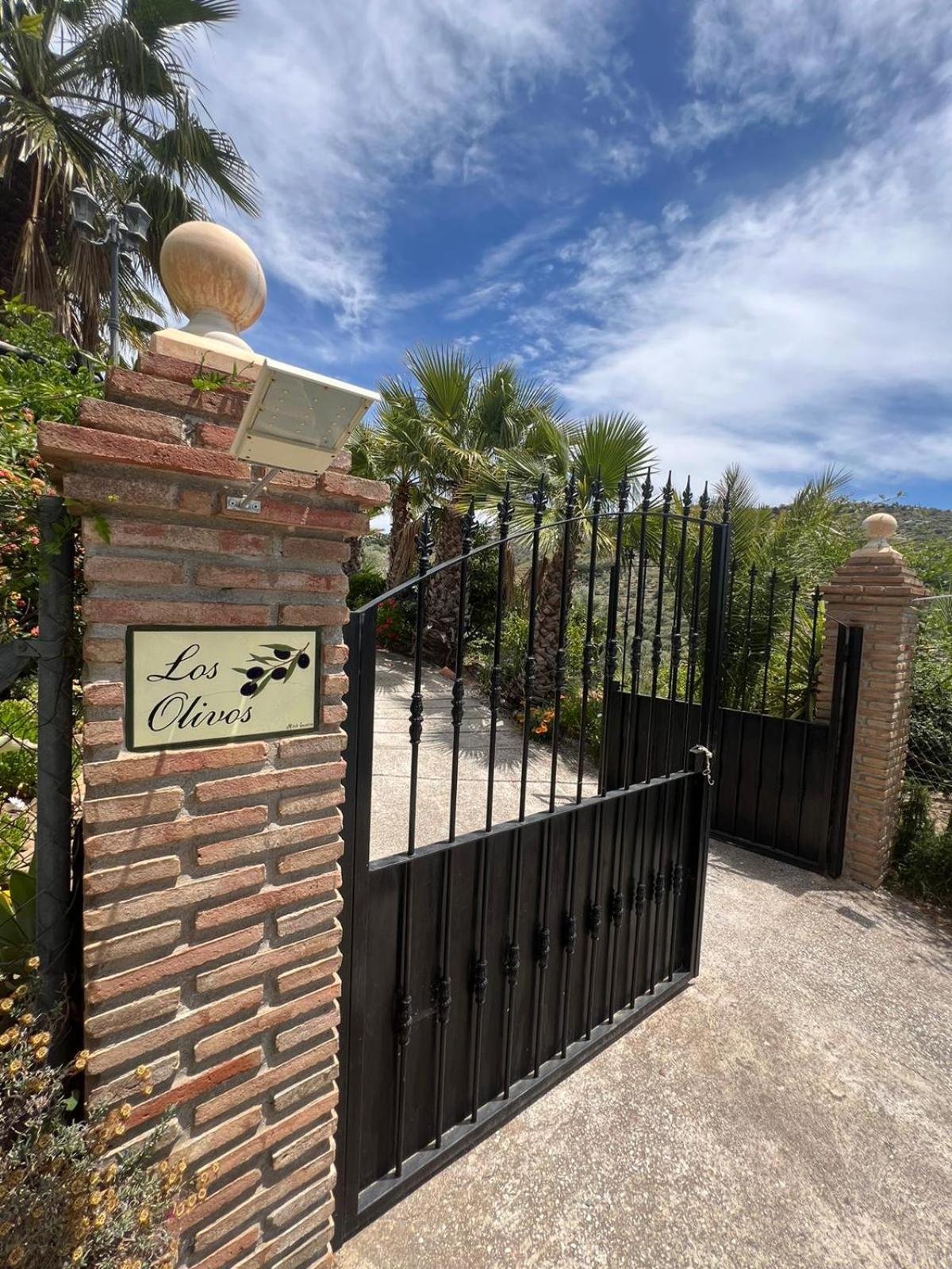 Los Olivos Málaga Exteriör bild
