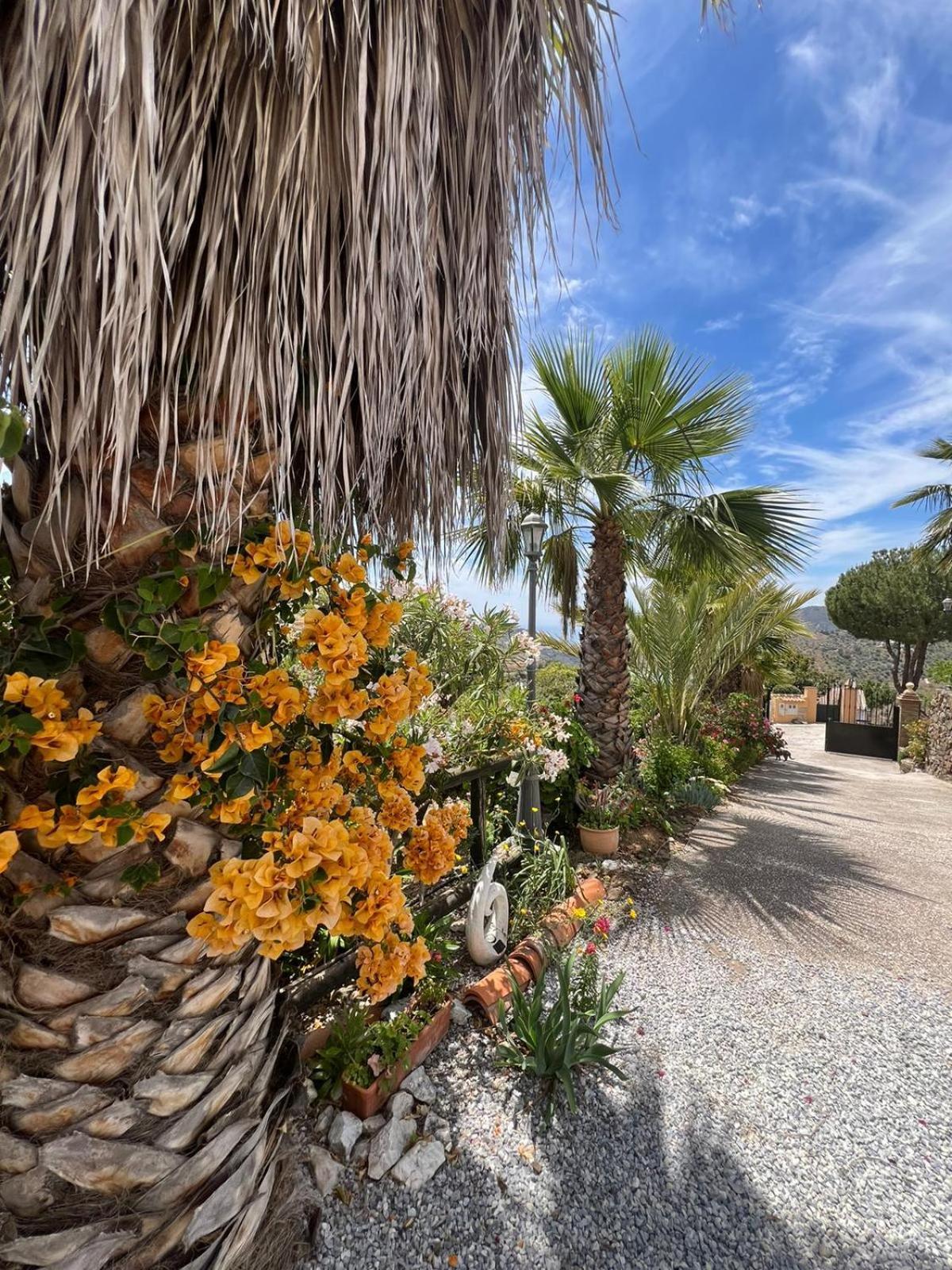Los Olivos Málaga Exteriör bild